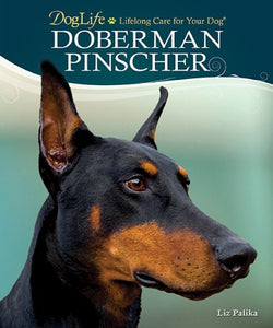 Doberman Pinscher 