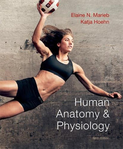 Human Anatomy & Physiology 
