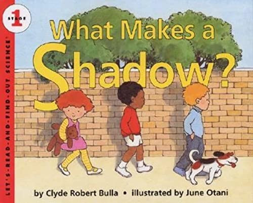 What Makes a Shadow