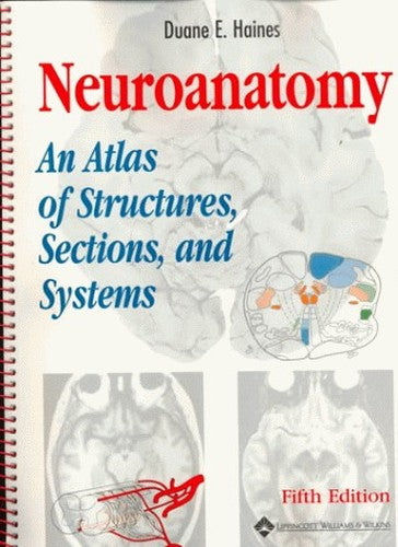 Neuroanatomy
