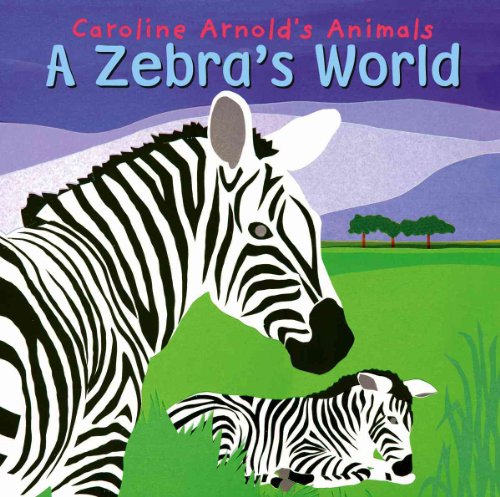 A Zebra's World