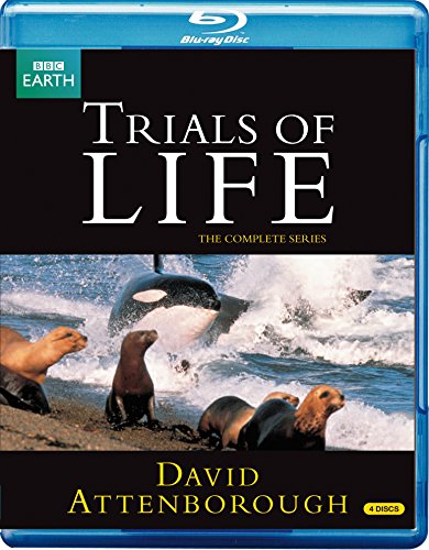 Trials of Life pc