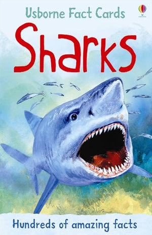 Fact Cards Sharks