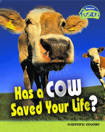 Has a Cow Saved Your Life?