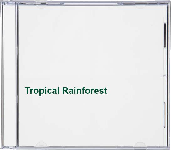 Tropical Rainforest