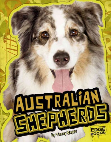 Australian Shepherds
