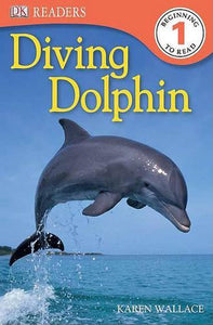 Diving Dolphin 