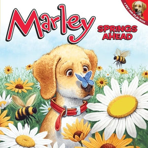 Marley Springs Ahead!