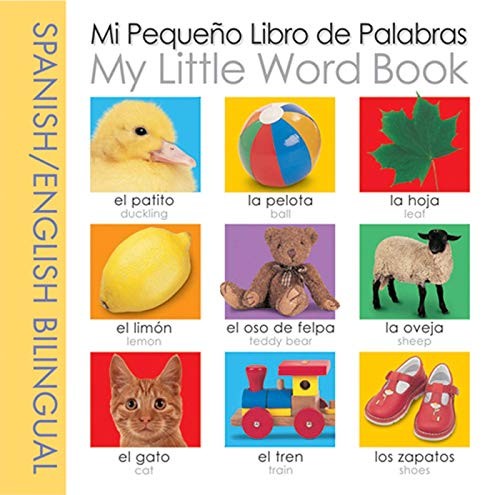 Mi Libro Pequeno de Palabras/My Little Word Book