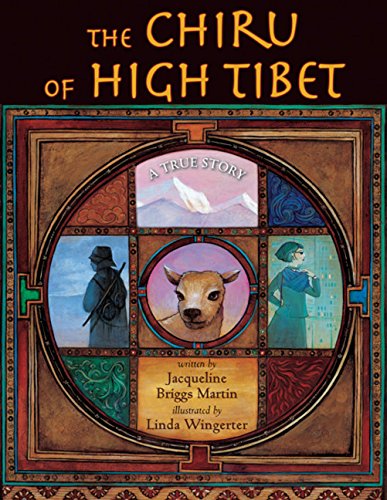 Chiru of High Tibet