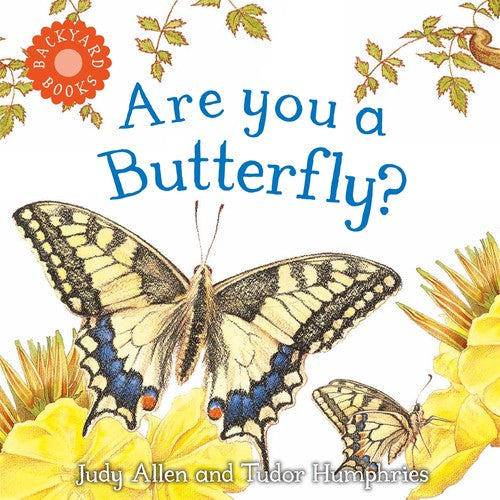 (HM)Backyard:Are You a Butterfly