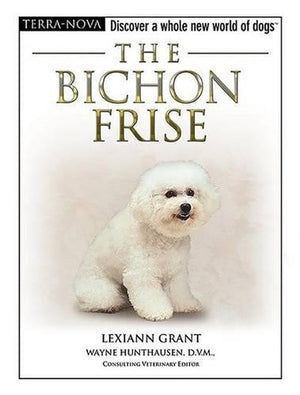 The Bichon Frise