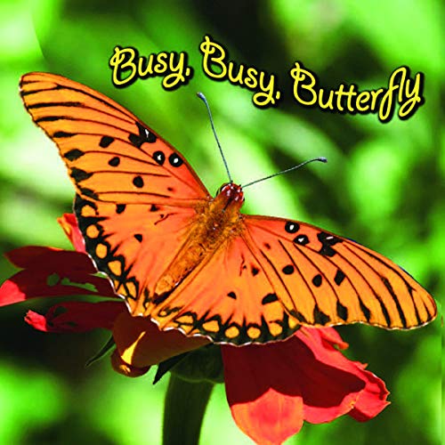 Busy, Busy Butterfly