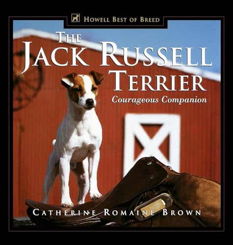 The Jack Russell Terrier