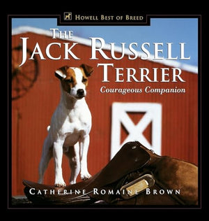 The Jack Russell Terrier