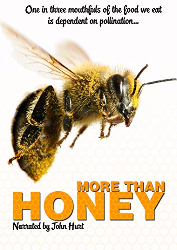 More Than Honey [DVD]