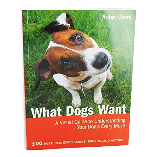What Dogs Want