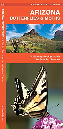 Arizona Butterflies & Moths