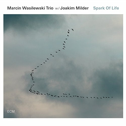 Spark Of Life