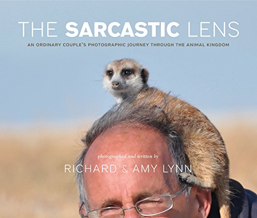 The Sarcastic Lens