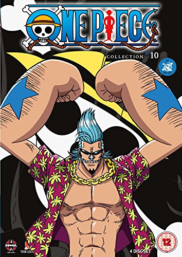 One Piece (Uncut) Collection 10 (Episodes 230-252) [DVD]