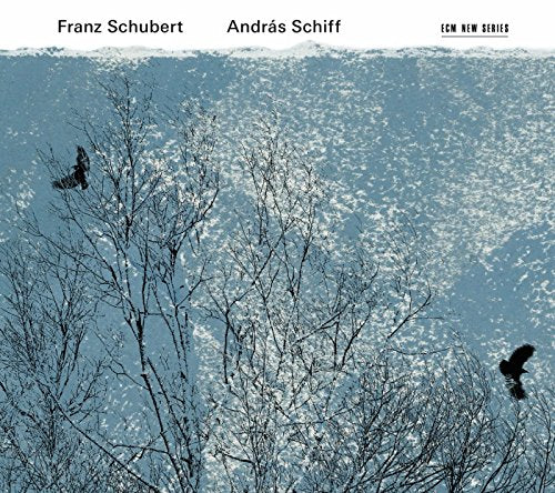 Schubert: Piano Sonatas; Moments Musicaux; Impromptus