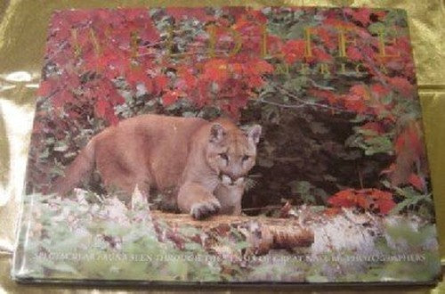 Wildlife of North America by Thomas A. Lewis (1998-05-03)