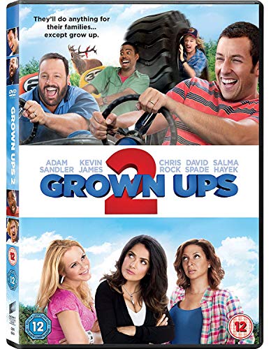 Grown Ups 2 [DVD] [2013]