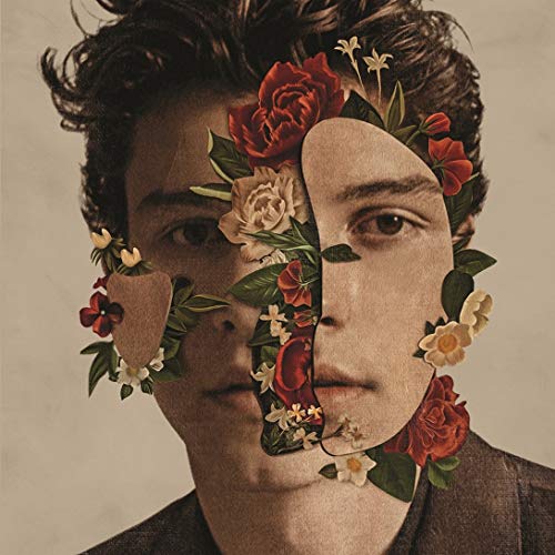 Shawn Mendes: The Album