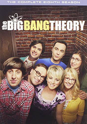 big bang theory season 8