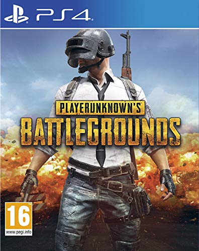 SONY INTERACTIVE ENT.FRANC PlayerUnknown's battlegrounds (PUBG)