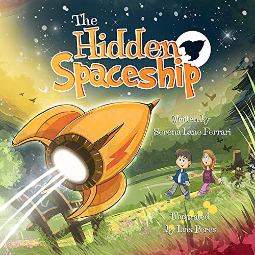 The Hidden Spaceship