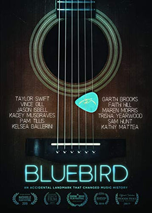 Bluebird: An Accidental Landmark That Changed History (DVD)