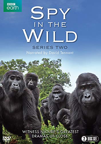 Spy in the Wild: Series 2 [DVD]
