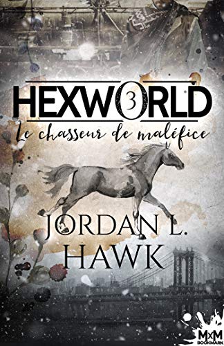 Le chasseur de maléfice: Hexworld, T3
