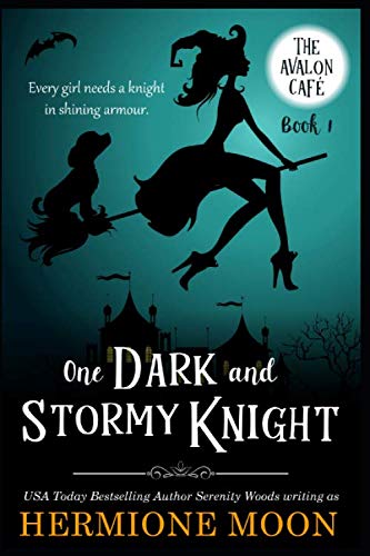 One Dark and Stormy Knight : A Cozy Witch Mystery