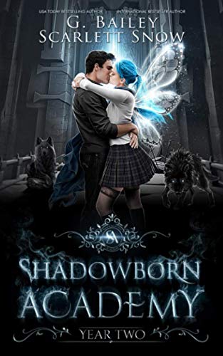 Shadowborn Academy: Year Two (Dark Fae Academy Series)