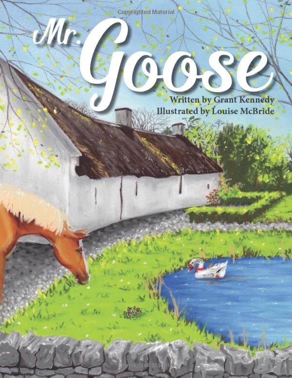 Mr. Goose : Risk and Reward