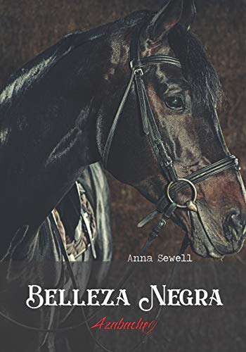 Belleza Negra