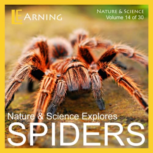 Spiders