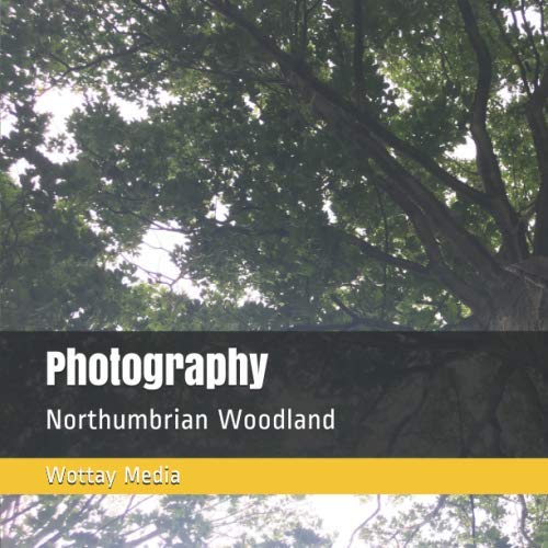 Photography: Northumbrian Woodland (Nature)