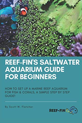 Reef-fin's Saltwater Aquarium Guide for Beginners