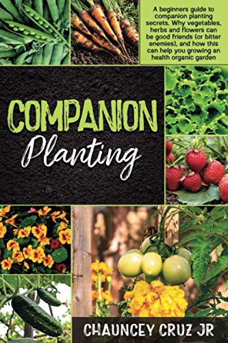 Companion Planting: A beginners guide to companion planting secrets. Why vegetables, herbs and flowers can be good friends (or bitter enemies), and how this can help you grow an health organic garden