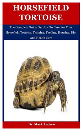 Horsefield Tortoise