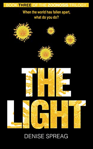 The Light: When the world has fallen apart, what do you do?