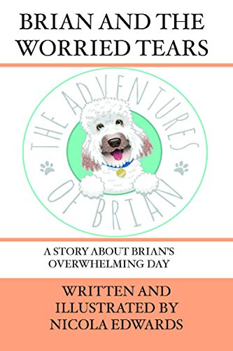 Brian and the Worried Tears: A story about Brian's overwhelming day