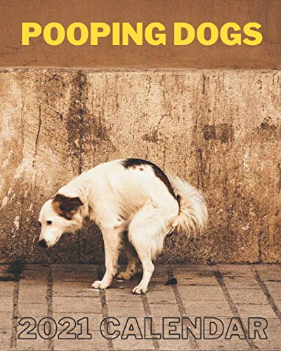 Pooping Dogs 2021 Calendar : Pooping Pooches Dog Calendar 2021 Funny Gag Gift for Dog Lovers, Jan 2021-Dec 2021, 8 X 10 Inch, 30 Pages