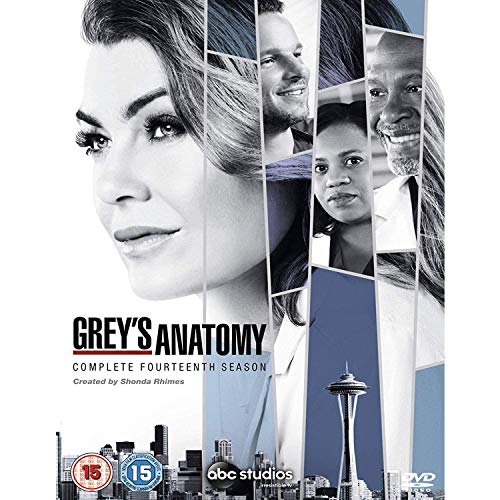 Grey's Anatomy: Season 14 (DVD)