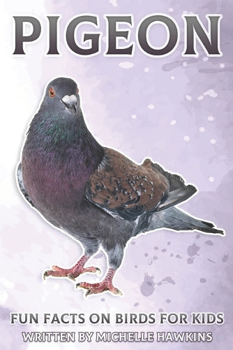 Pigeon