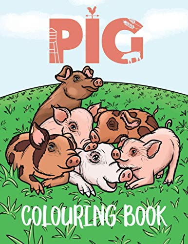 Pig Colouring Book
